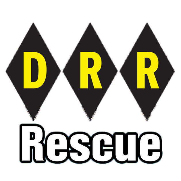 Desert Rescue Research